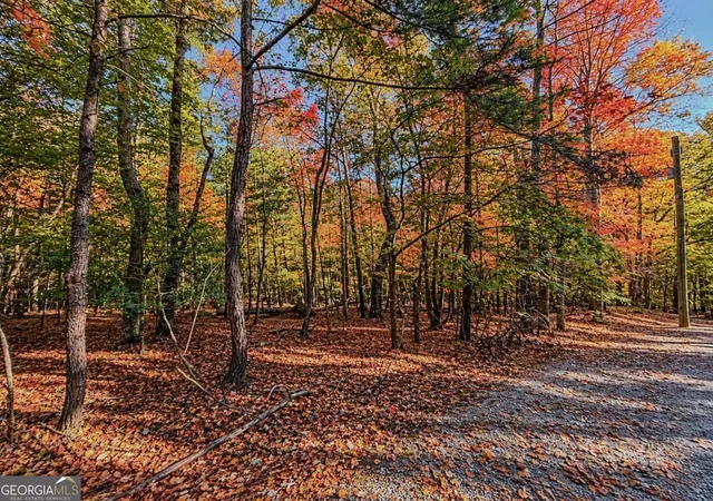 Photo 2 of Land for sale at Lot 3118 Opal Ln #00, Ellijay, GA 30540 | MLS# 10879383 | Listing updated on 2026-10-27