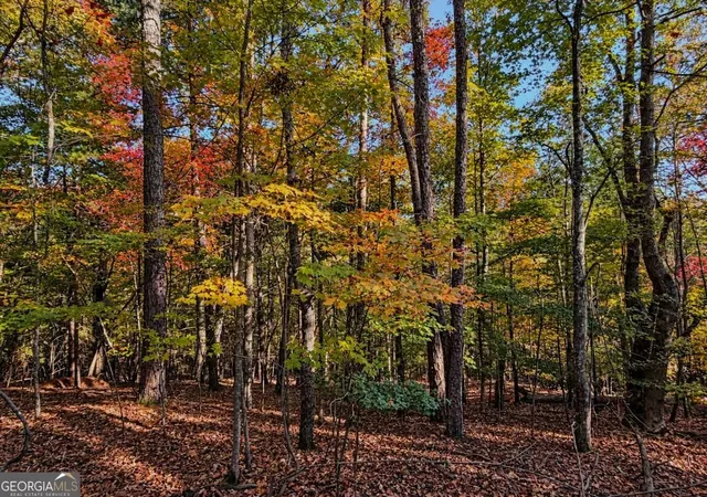 Photo 3 of Land for sale at Lot 3118 Opal Ln #00, Ellijay, GA 30540 | MLS# 10879383 | Listing updated on 2026-10-27