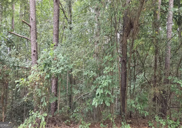 Photo 1 of Land for sale at 2678 Sleepy Holw Rd, Monroe, GA 30655 | MLS# 10850859 | Listing updated on 2026-10-06