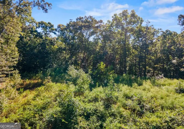 Photo 2 of Land for sale at 11300 Hutcheson Fry Rd, Palmetto, GA 30268 | MLS# 10879372 | Listing updated on 2026-10-27