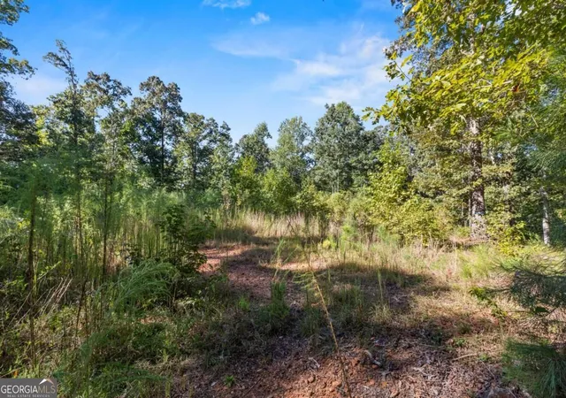 Photo 3 of Land for sale at 11300 Hutcheson Fry Rd, Palmetto, GA 30268 | MLS# 10879372 | Listing updated on 2026-10-27