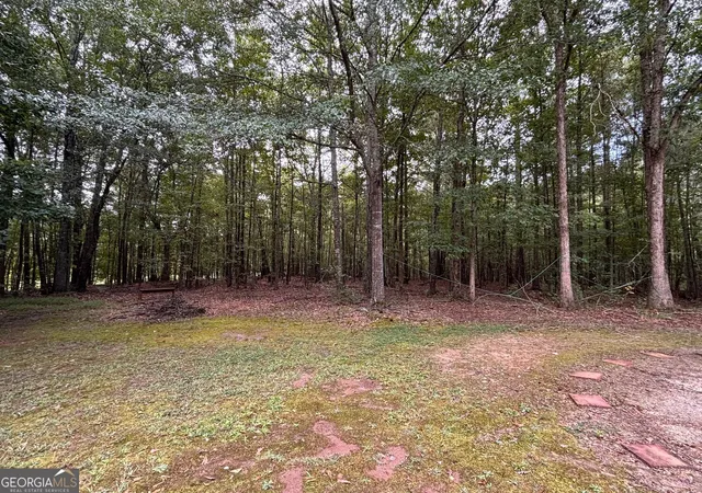 Photo 27 of Single family home for sale at 10992 Twelve Oaks Ct, Hampton, GA 30228 | MLS# 10842380 | Listing updated on 2026-09-09