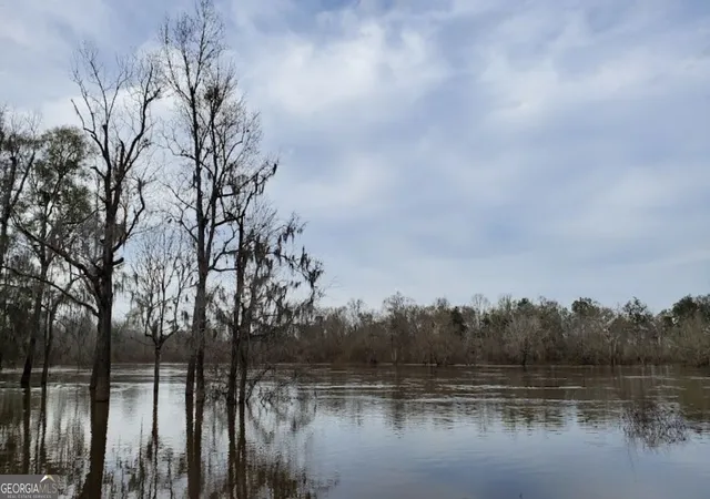 Photo 1 of Land for sale at 0 Deen Landing Rd, Baxley, GA 31513 | MLS# 10843871 | Listing updated on 2026-09-24