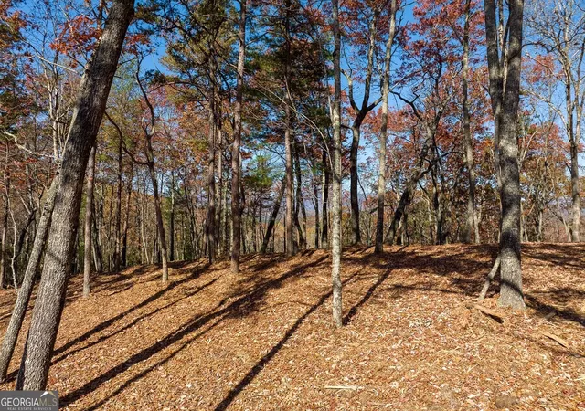 Photo 1 of Land for sale at Lot 41 Preserve Trl, Ellijay, GA 30536 | MLS# 10852467 | Listing updated on 2026-10-08