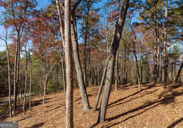 Photo 2 of Land for sale at Lot 41 Preserve Trl, Ellijay, GA 30536 | MLS# 10852467 | Listing updated on 2026-10-08