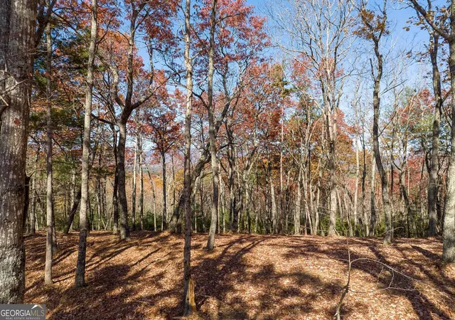 Photo 3 of Land for sale at Lot 41 Preserve Trl, Ellijay, GA 30536 | MLS# 10852467 | Listing updated on 2026-10-08