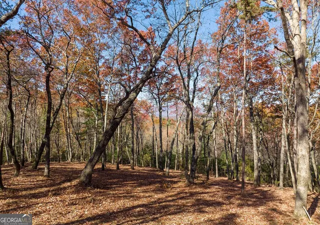 Photo 3 of Land for sale at Lot 41 Preserve Trl, Ellijay, GA 30536 | MLS# 10852467 | Listing updated on 2026-10-08