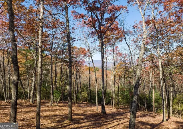 Photo 4 of Land for sale at Lot 41 Preserve Trl, Ellijay, GA 30536 | MLS# 10852467 | Listing updated on 2026-10-08