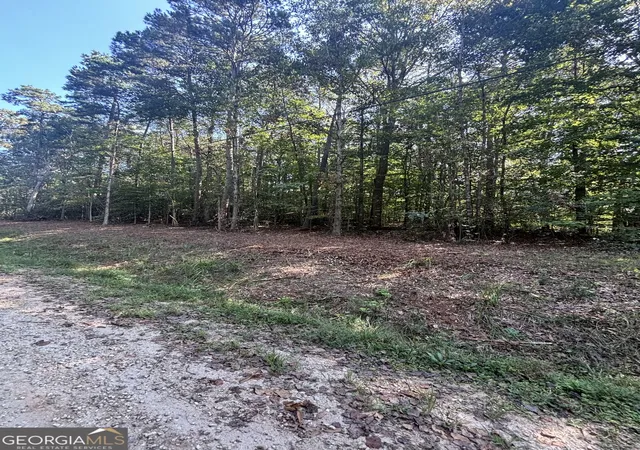 Photo 3 of Land for sale at 0 Oakwood Rd, Lavonia, GA 30553 | MLS# 10846759 | Listing updated on 2026-10-02