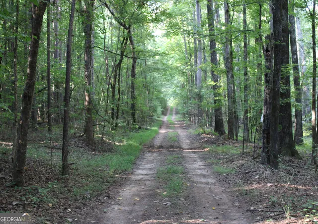 Photo 3 of Land for sale at 0000 Greenesboro Rd NW, Union Point, GA 30669 | MLS# 10879295 | Listing updated on 2026-10-27