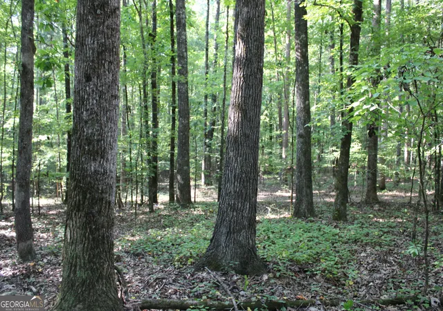 Photo 4 of Land for sale at 0000 Greenesboro Rd NW, Union Point, GA 30669 | MLS# 10879295 | Listing updated on 2026-10-27