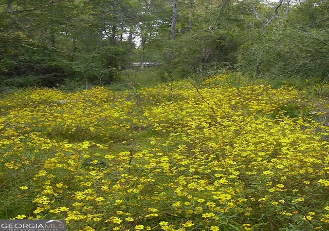 Photo 2 of Land for sale at 0000 Rabbit Farm Rd, Loganville, GA 30052 | MLS# 10832949 | Listing updated on 2026-09-05