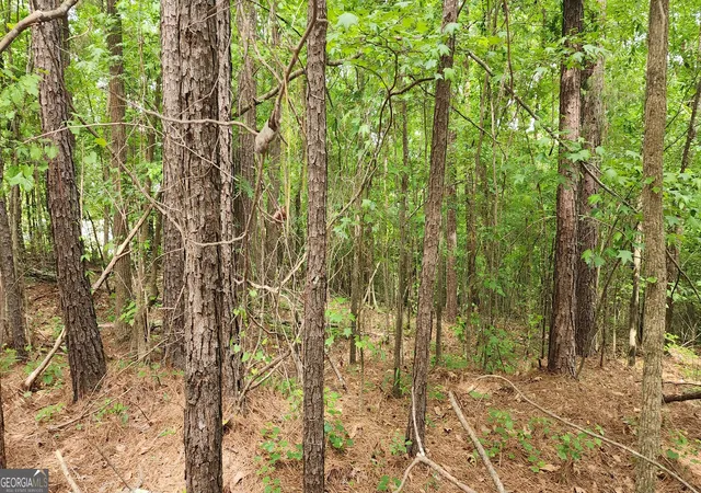 Photo 3 of Land for sale at 0000 Rabbit Farm Rd, Loganville, GA 30052 | MLS# 10832949 | Listing updated on 2026-09-05