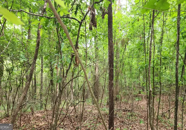 Photo 4 of Land for sale at 0000 Rabbit Farm Rd, Loganville, GA 30052 | MLS# 10832949 | Listing updated on 2026-09-05
