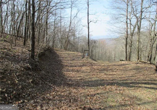 Photo 2 of Land for sale at 11 Indian Trl Dr, Jasper, GA 30143 | MLS# 10880357 | Listing updated on 2026-10-28