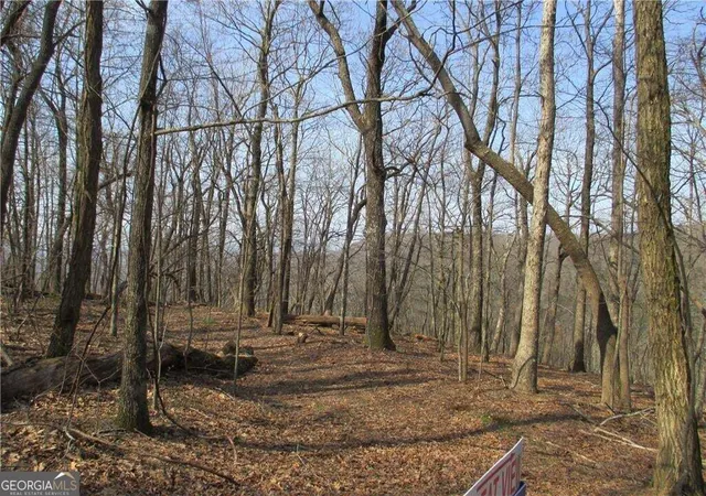 Photo 3 of Land for sale at 11 Indian Trl Dr, Jasper, GA 30143 | MLS# 10880357 | Listing updated on 2026-10-28