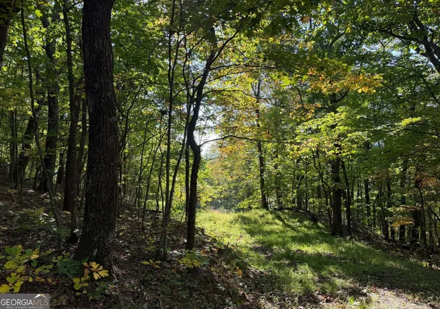 Photo 4 of Land for sale at 11 Indian Trl Dr, Jasper, GA 30143 | MLS# 10880357 | Listing updated on 2026-10-28