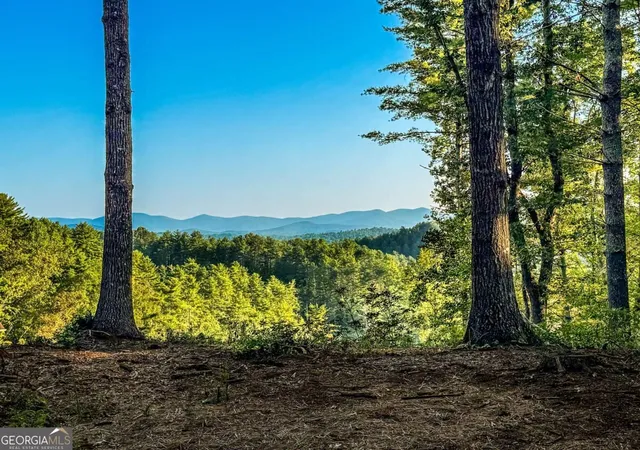 Photo 1 of Land for sale at 0 River Flow Dr, Dahlonega, GA 30533 | MLS# 10840923 | Listing updated on 2026-09-08