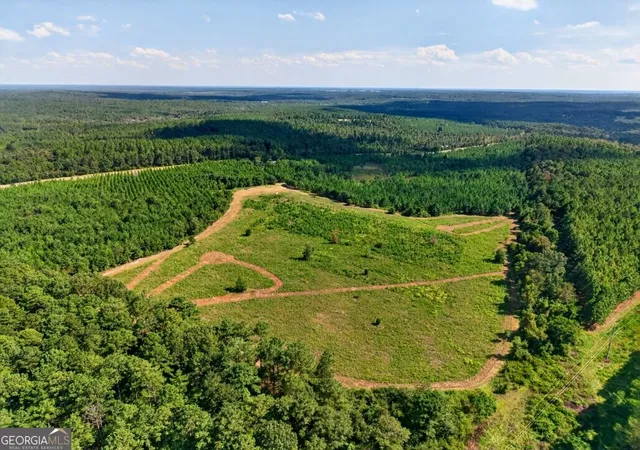 Photo 1 of Land for sale at 2150 Buena Vista Hwy, Mauk, GA 31058 | MLS# 10840629 | Listing updated on 2026-09-18