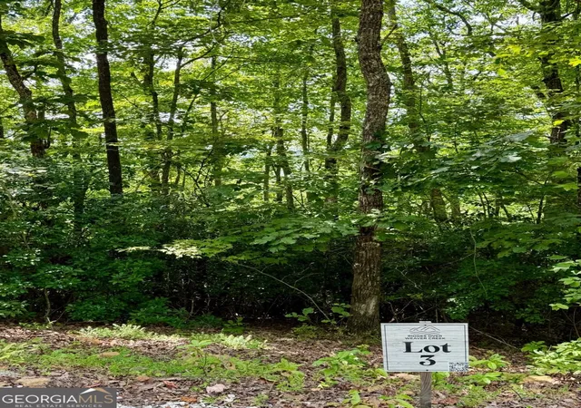 Photo 1 of Land for sale at Lot 3 Blue Horizon Dr, Blue Ridge, GA 30513 | MLS# 10847546 | Listing updated on 2026-09-30