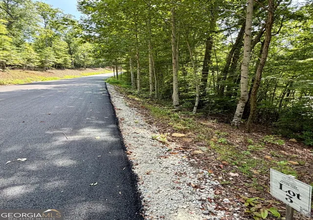 Photo 3 of Land for sale at Lot 3 Blue Horizon Dr, Blue Ridge, GA 30513 | MLS# 10847546 | Listing updated on 2026-09-30