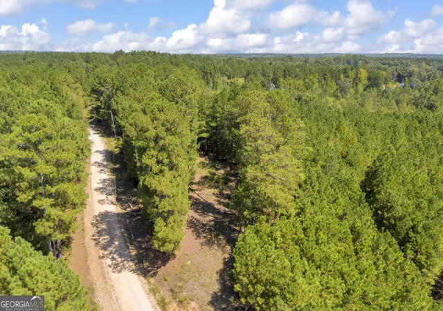 Photo 4 of House for sale at 0 Mccannon Rd, Carlton, GA 30627 | MLS# 10845607 | Listing updated on 2026-10-15