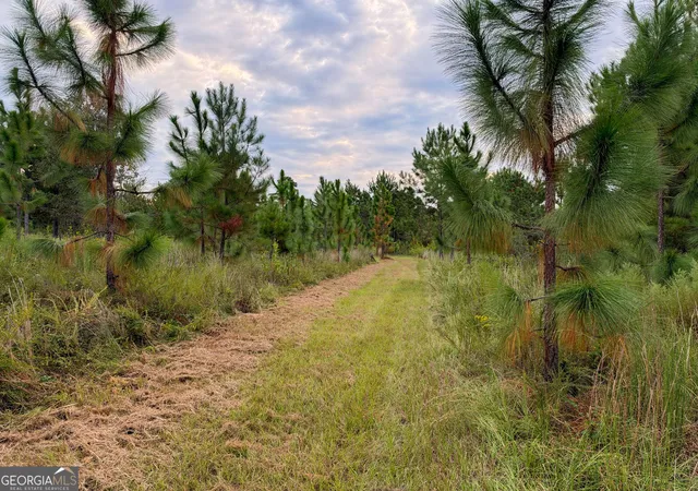 Photo 3 of House for sale at V/l Butler Rd, Milledgeville, GA 31061 | MLS# 10851532 | Listing updated on 2026-10-07