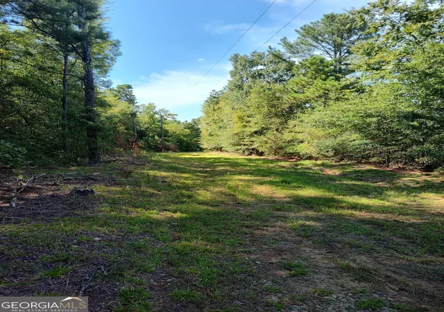 Photo 3 of Land for sale at 00 Calhoun Fls Hwy, Elberton, GA 30635 | MLS# 10851011 | Listing updated on 2026-10-06
