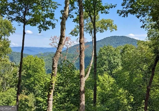 Photo 2 of Single family home for sale at 778 Walnut Mountain Rd, Ellijay, GA 30536 | MLS# 10841091 | Listing updated on 2026-09-23