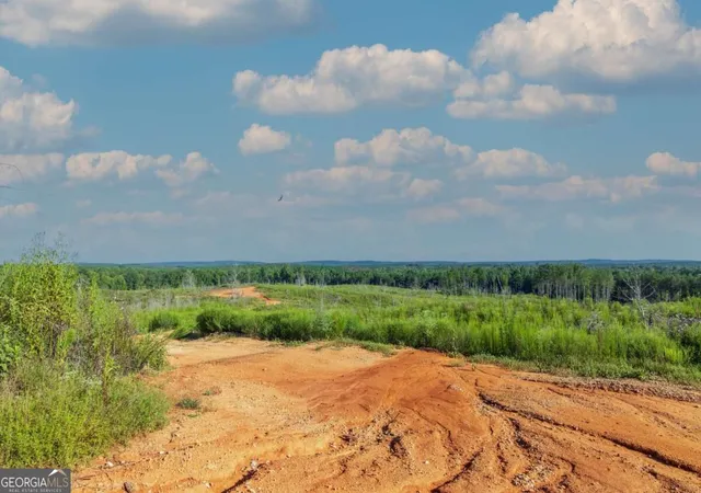 Photo 3 of Land for sale at Tract 2 Highway 0036, Woodland, GA 31836 | MLS# 10837408 | Listing updated on 2026-09-30