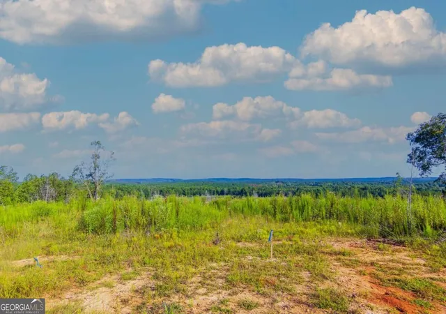 Photo 3 of Land for sale at Tract 2 Highway 0036, Woodland, GA 31836 | MLS# 10837408 | Listing updated on 2026-09-30