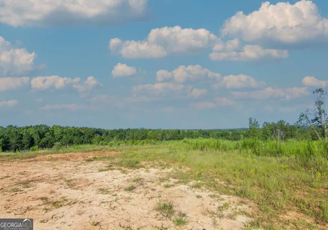 Photo 4 of Land for sale at Tract 2 Highway 0036, Woodland, GA 31836 | MLS# 10837408 | Listing updated on 2026-09-30