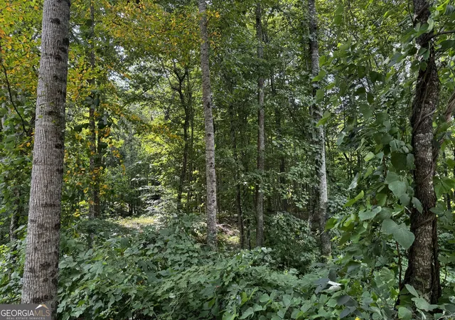 Photo 4 of Land for sale at J58 Bent Grass Way, Clayton, GA 30525 | MLS# 10838215 | Listing updated on 2026-09-16