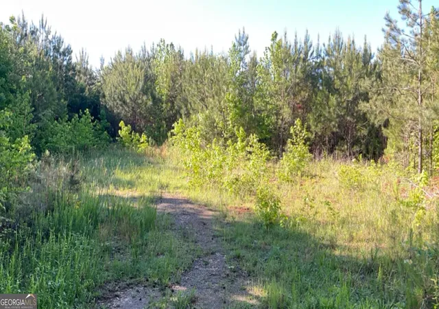 Photo 2 of Land for sale at 927 Candy Kitchen Rd, Temple, GA 30179 | MLS# 10847222 | Listing updated on 2026-09-30