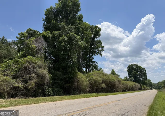 Photo 2 of Sale Pending at 0 County Rd 87 #3, Roanoke, AL 36274 | MLS# 10839972 | Listing updated on 2026-09-12
