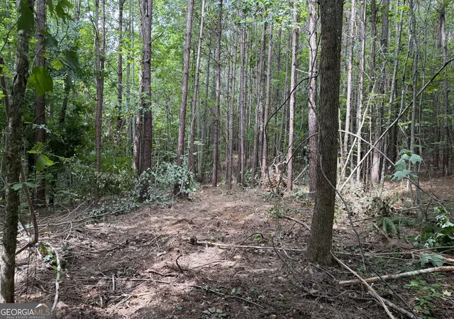 Photo 3 of Sale Pending at 0 County Rd 87 #3, Roanoke, AL 36274 | MLS# 10839972 | Listing updated on 2026-09-12