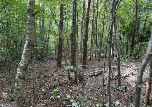Photo 4 of Sale Pending at 0 County Rd 87 #3, Roanoke, AL 36274 | MLS# 10839972 | Listing updated on 2026-09-12