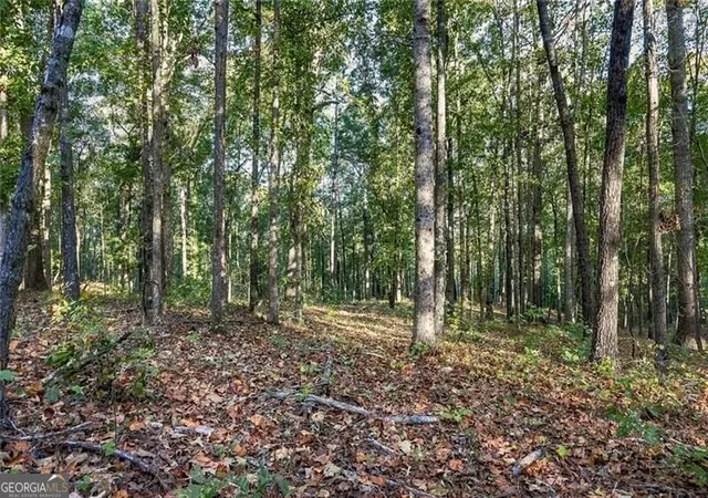 Photo 2 of Land for sale at 729 Chattin, Canton, GA 30115 | MLS# 10874274 | Listing updated on 2026-10-30