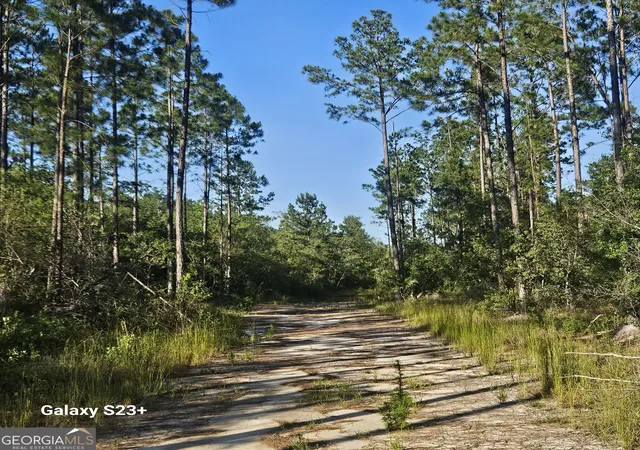 Land for sale at 0 Ml Branch Clb Rd Lot 1n, Nevils, GA 31321 | MLS# 10848477