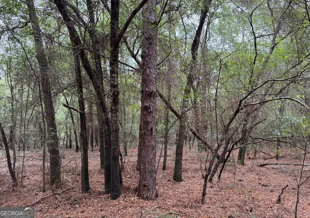 Photo 2 of Land for sale at 0 Glen Dr 1474 Acres #14.74 ACRES, East Dublin, GA 31027 | MLS# 10839607 | Listing updated on 2026-09-17