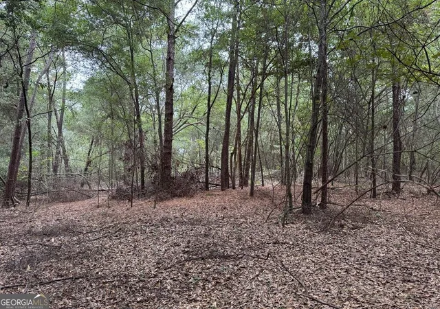 Photo 4 of Land for sale at 0 Glen Dr 1474 Acres #14.74 ACRES, East Dublin, GA 31027 | MLS# 10839607 | Listing updated on 2026-09-17