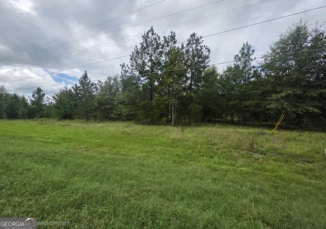 Land for sale at 3102 Blackshear Hwy, Baxley, GA 31513 | MLS# 10842584