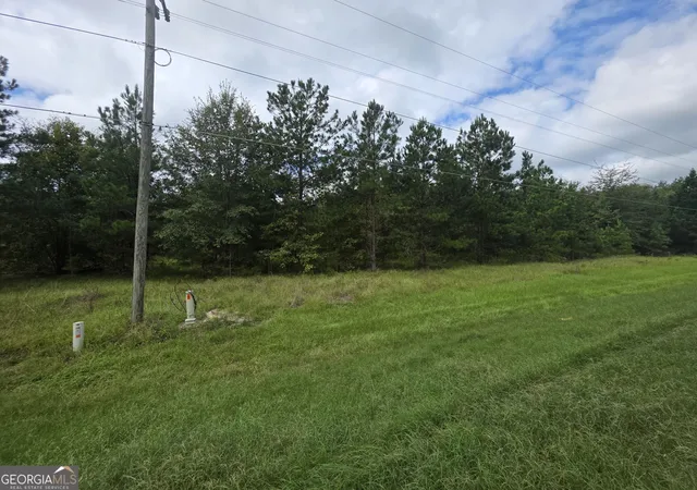 Photo 2 of Land for sale at 3102 Blackshear Hwy, Baxley, GA 31513 | MLS# 10842584 | Listing updated on 2026-10-08
