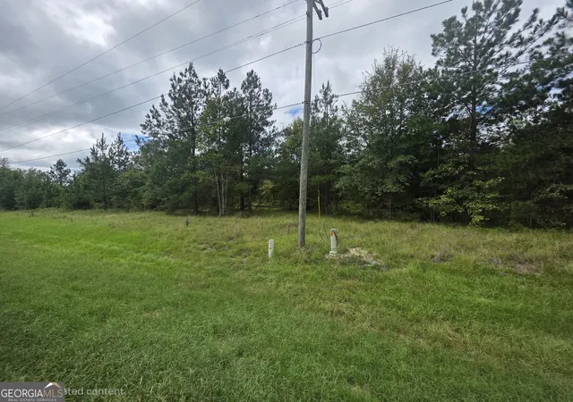 Photo 3 of Land for sale at 3102 Blackshear Hwy, Baxley, GA 31513 | MLS# 10842584 | Listing updated on 2026-10-08