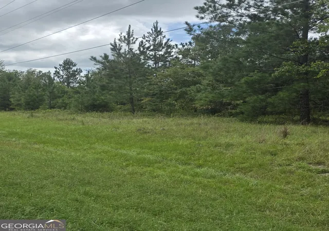 Photo 3 of Land for sale at 3102 Blackshear Hwy, Baxley, GA 31513 | MLS# 10842584 | Listing updated on 2026-10-08