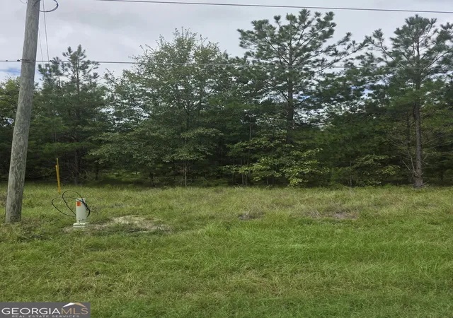 Photo 4 of Land for sale at 3102 Blackshear Hwy, Baxley, GA 31513 | MLS# 10842584 | Listing updated on 2026-10-08