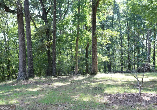 Photo 3 of Single family home for sale at 2096 Roy Woods Rd, Comer, GA 30629 | MLS# 10848716 | Listing updated on 2026-10-02