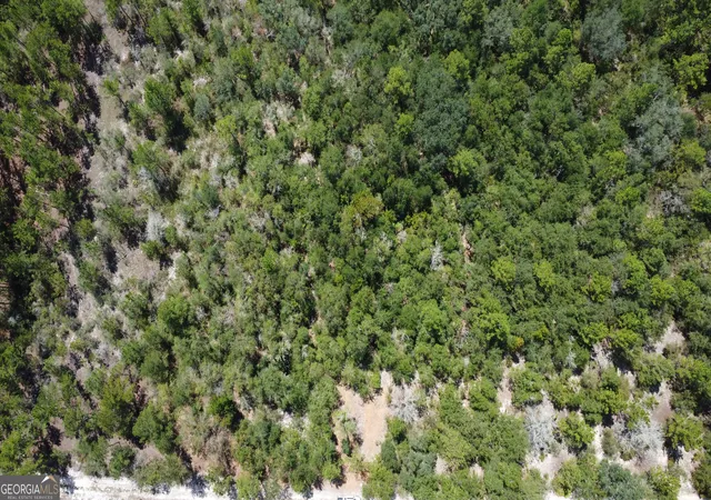 Photo 1 of Land for sale at Lot 4 Porter Rd, Pembroke, GA 31321 | MLS# 10841388 | Listing updated on 2026-09-07