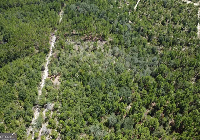 Photo 2 of Land for sale at Lot 4 Porter Rd, Pembroke, GA 31321 | MLS# 10841388 | Listing updated on 2026-09-07