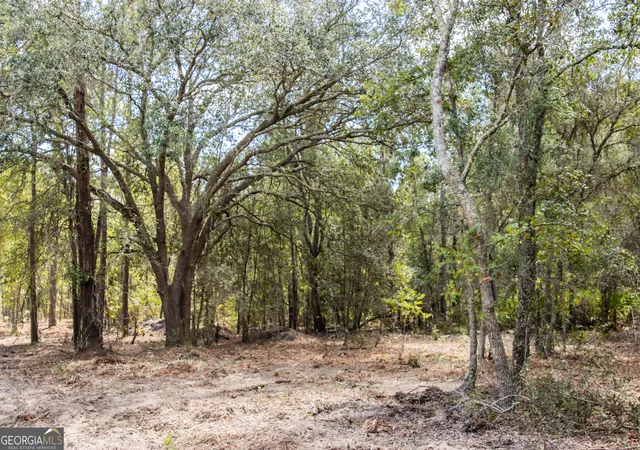 Photo 4 of House for sale at Lot 4 Porter Rd, Pembroke, GA 31321 | MLS# 10841388 | Listing updated on 2026-09-07